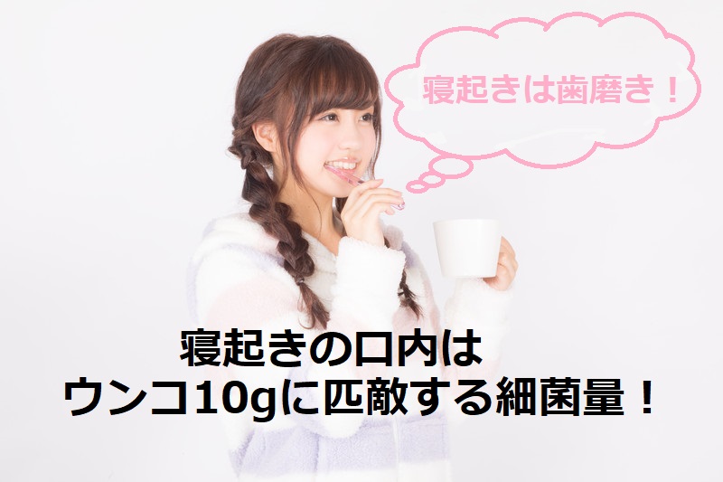 寝起きの歯磨きは 口臭と うんこ１０ｇ級の雑菌 を除去する為に絶対必要 としブログ